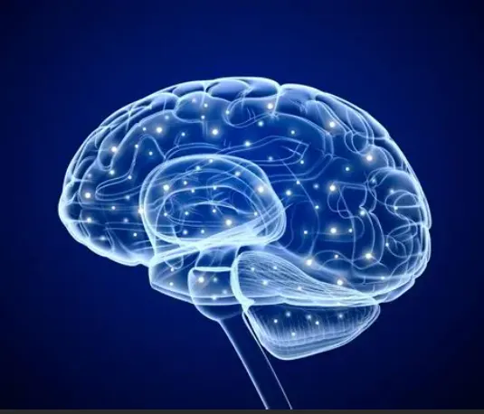 Neurocept Male performance Supplement